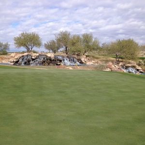 Meet your Posher, Peter